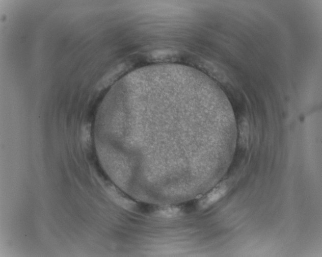 X0000074290278200609151924