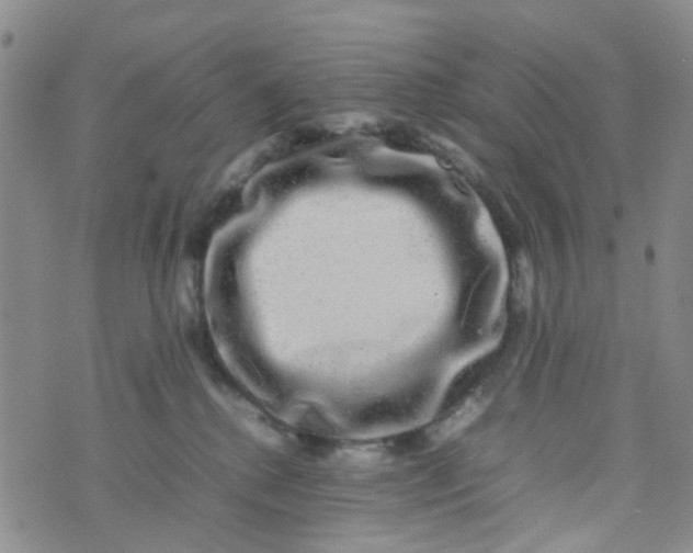 X0000074290280200609151924