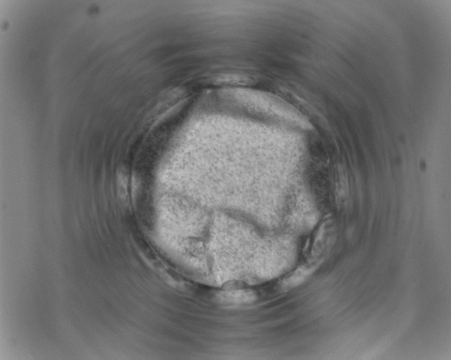 X0000074290281200609151924