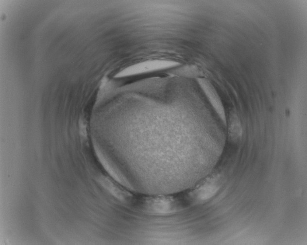 X0000074290282200609151924