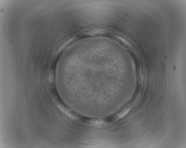 X0000074290284200609151924