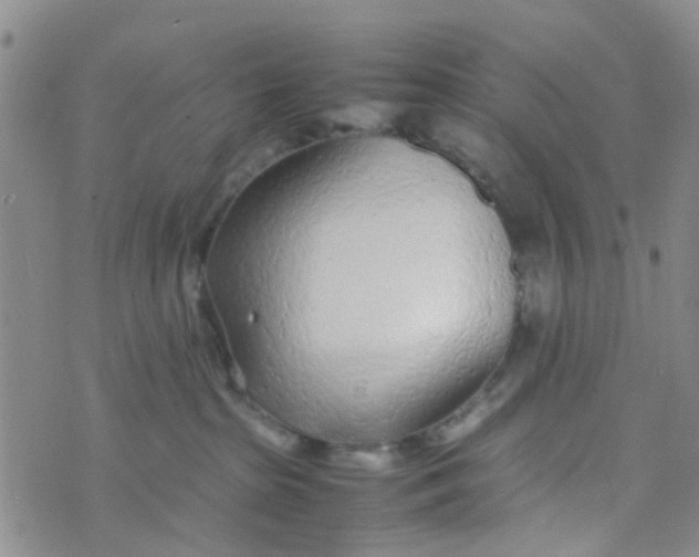 X0000074290285200609151924