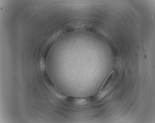 X0000074290287200609151924