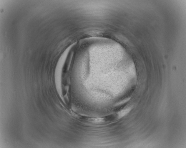 X0000074290288200609151925