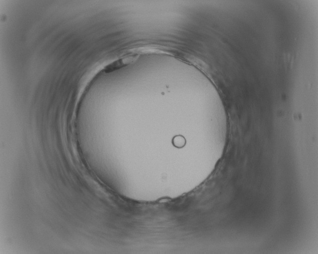 X0000074290289200609151924