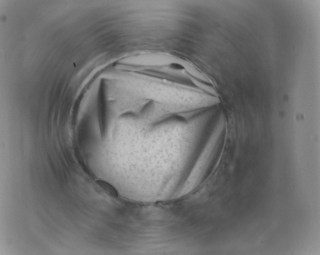 X0000074290290200609151924