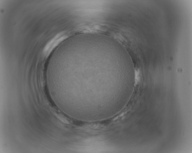 X0000074290291200609151924