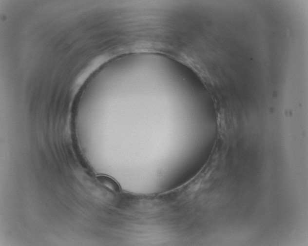 X0000074290292200609151924