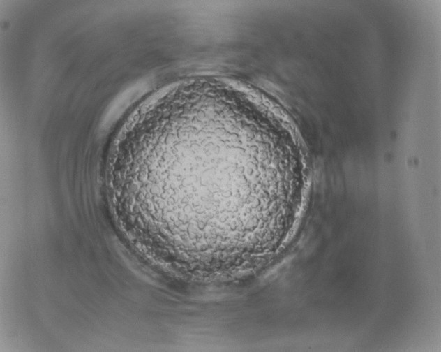 X0000074290293200609151924