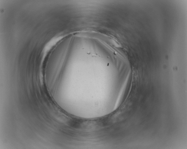 X0000074290294200609151924