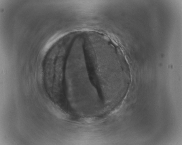 X0000074290295200609151924