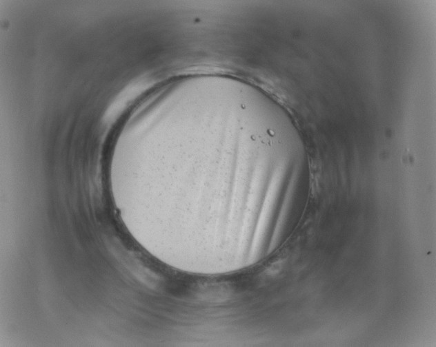 X0000074290296200609151924