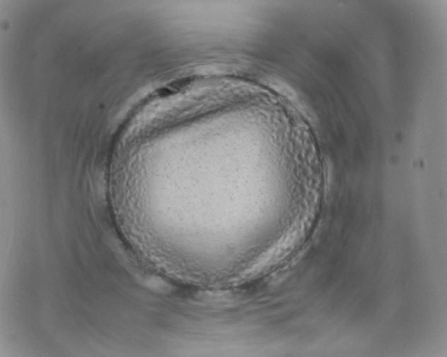 X0000074290297200609151924