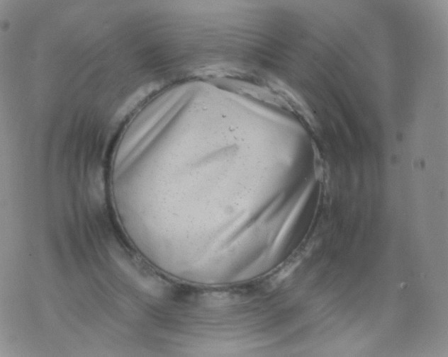 X0000074290298200609151924