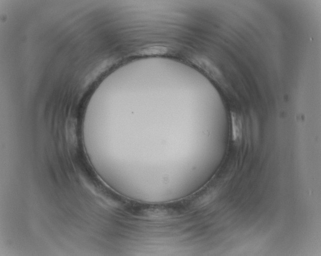 X0000074290300200609151924