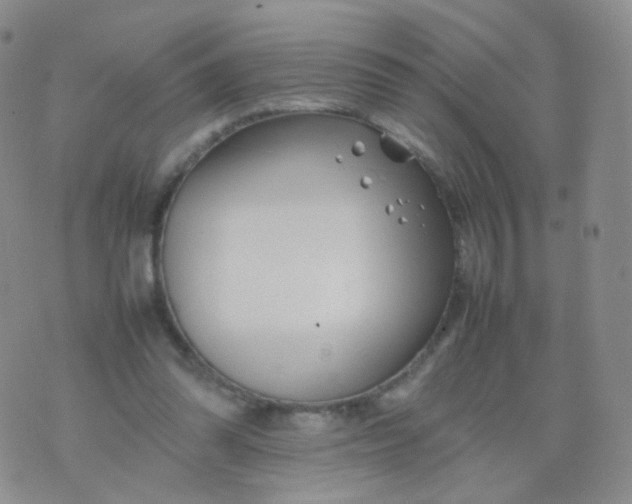 X0000074290302200609151924