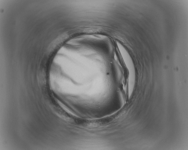 X0000074290303200609151924