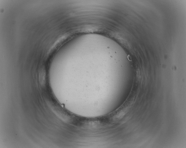 X0000074290304200609151923