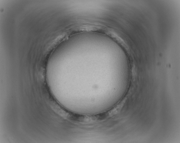 X0000074290305200609151923