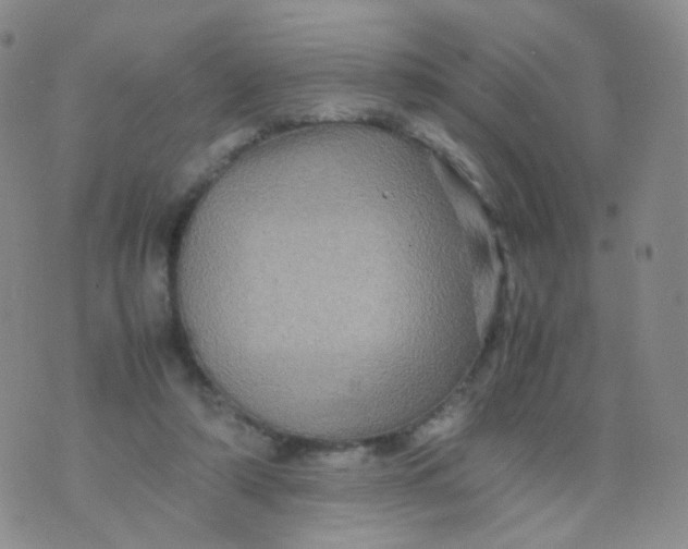 X0000074290306200609151923