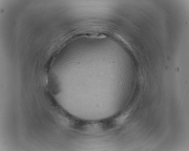 X0000074290307200609151923