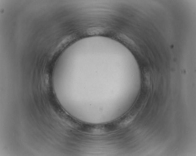 X0000074290308200609151923