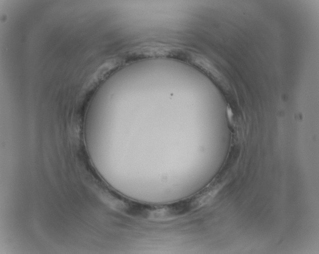 X0000074290309200609151923