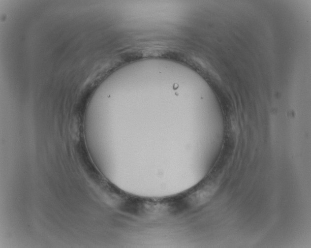 X0000074290311200609151923