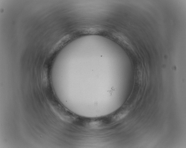 X0000074290312200609151923