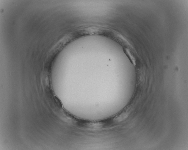 X0000074290313200609151923