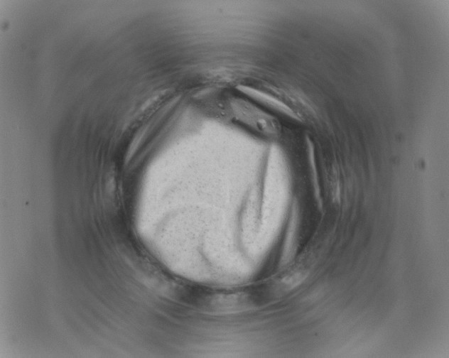 X0000074290314200609151923