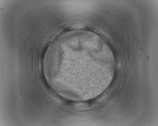 X0000074290315200609151923