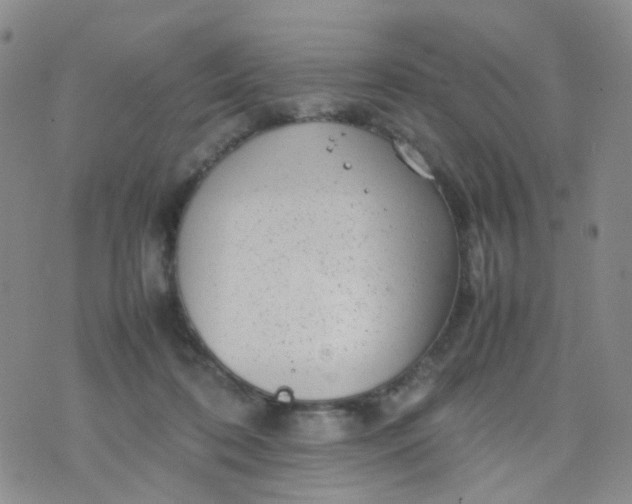 X0000074290316200609151923