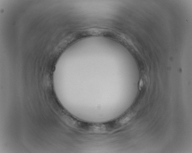 X0000074290317200609151923