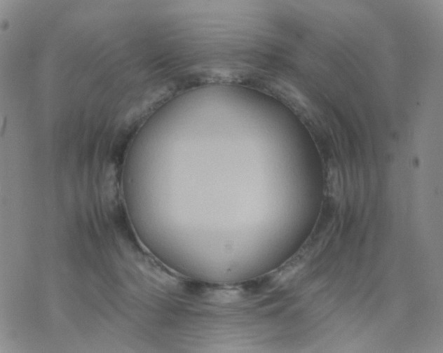 X0000074290318200609151923