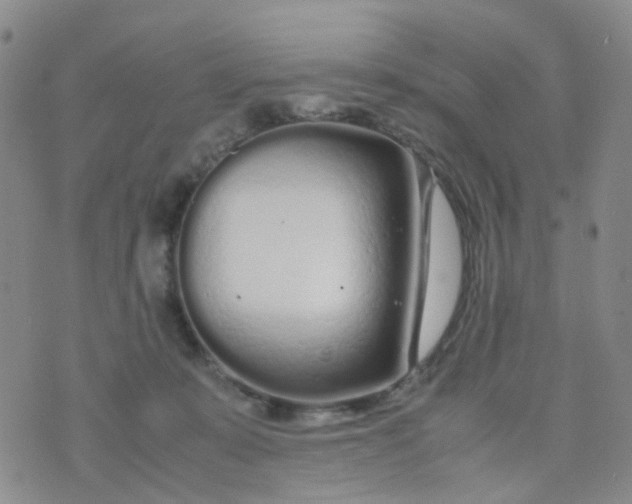 X0000074290319200609151923