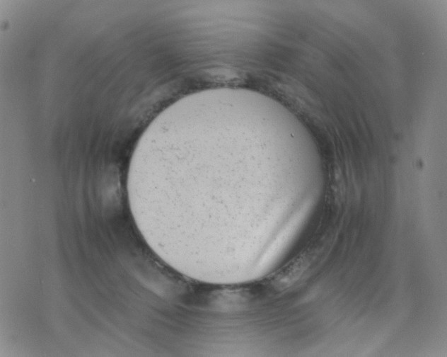 X0000074290320200609151923