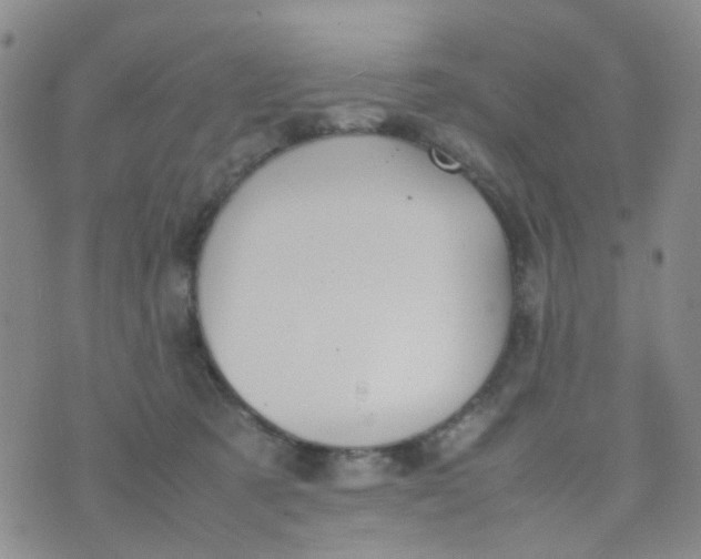 X0000074290321200609151923