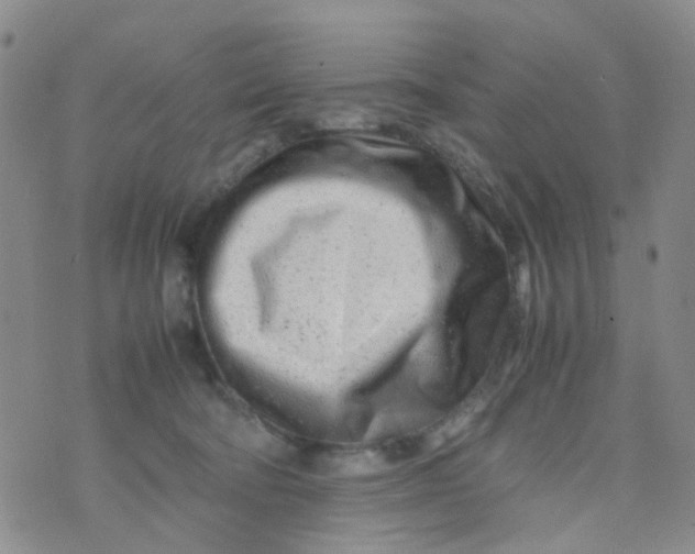 X0000074290322200609151923