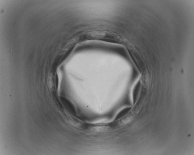 X0000074290323200609151923