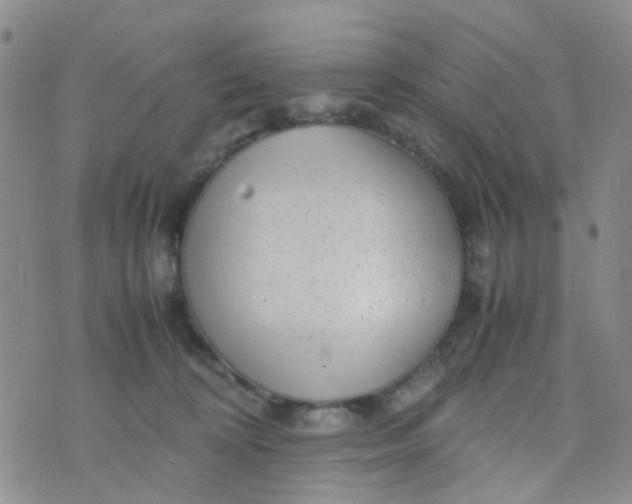 X0000074290324200609151923