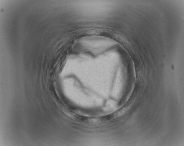 X0000074290325200609151923