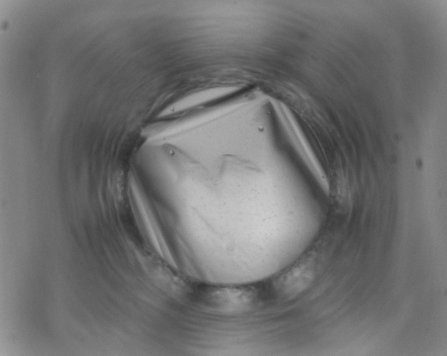 X0000074290326200609151923