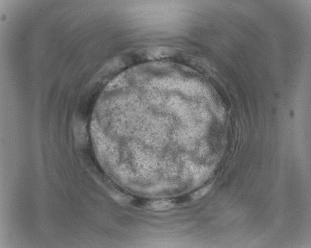 X0000074290327200609151923