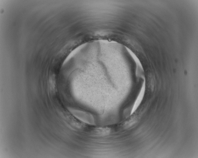 X0000074290328200609151923