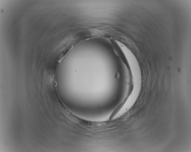 X0000074290329200609151923