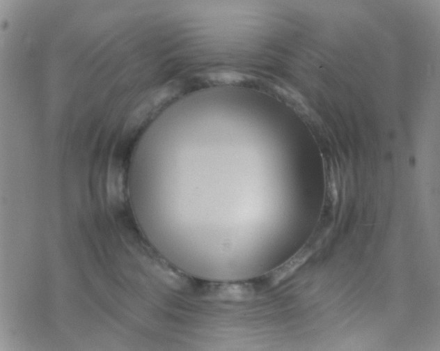 X0000074290330200609151923