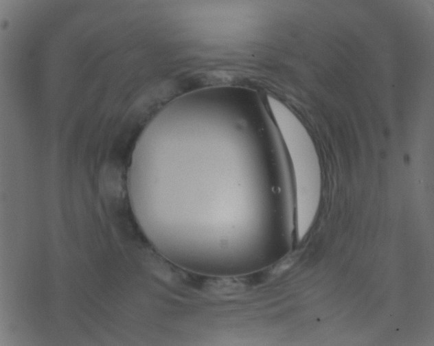 X0000074290331200609151923