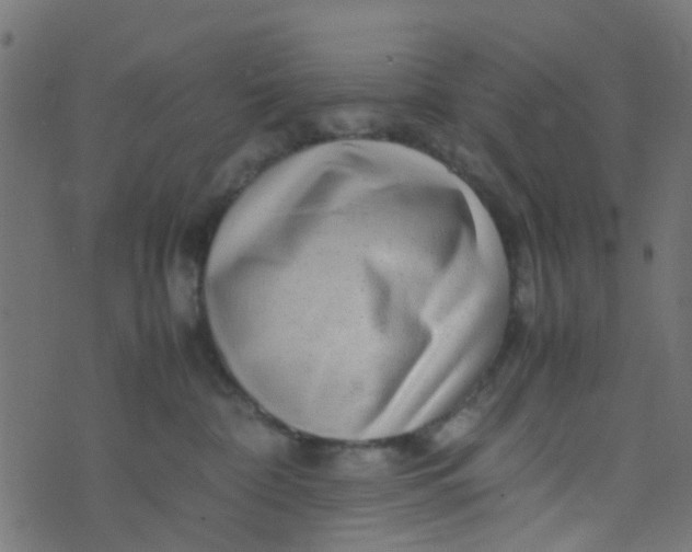 X0000074290332200609151923