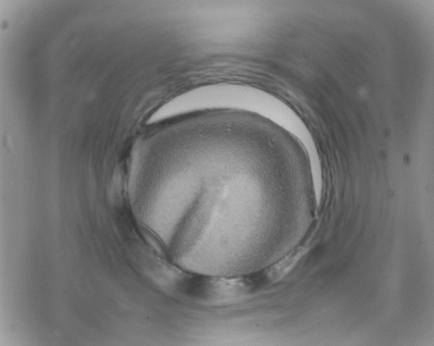 X0000074290333200609151923